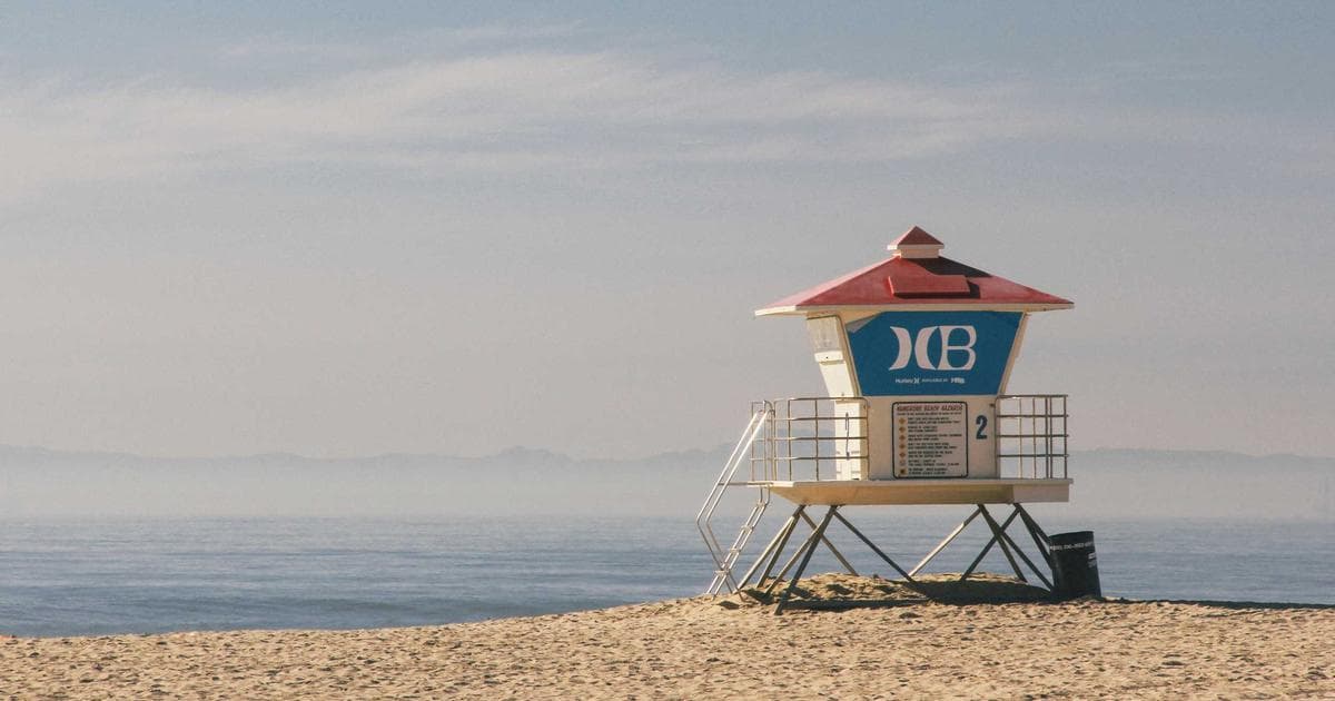 New demo content: richer grids for your stakeholders