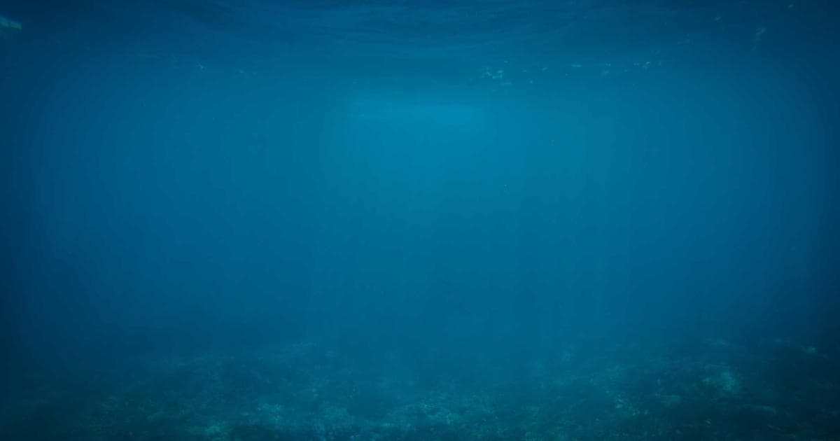 Quality signals that belong on product pages