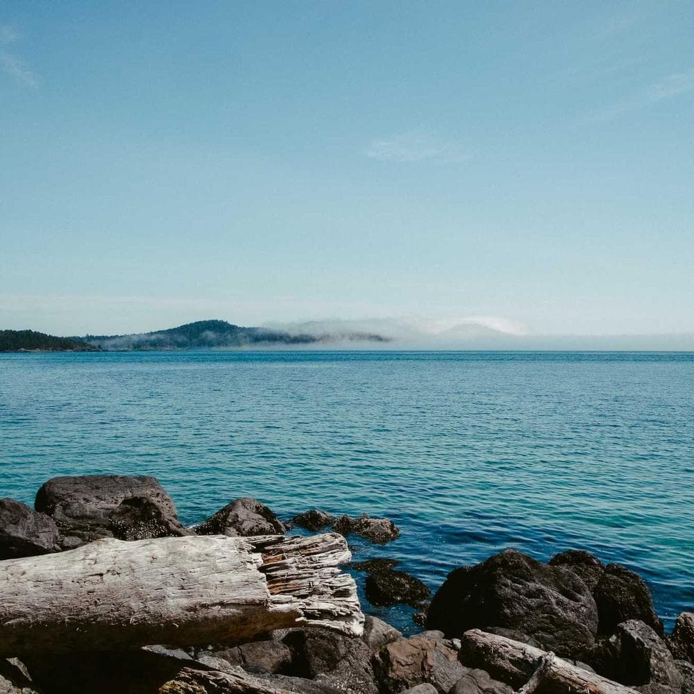 Safety cutter blades (100-pack)