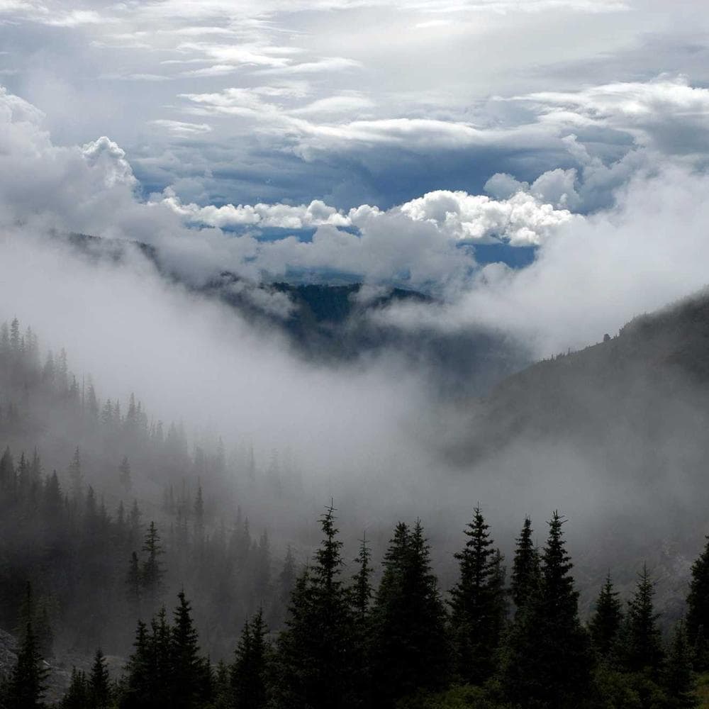 Heavy-duty storage crate 40L