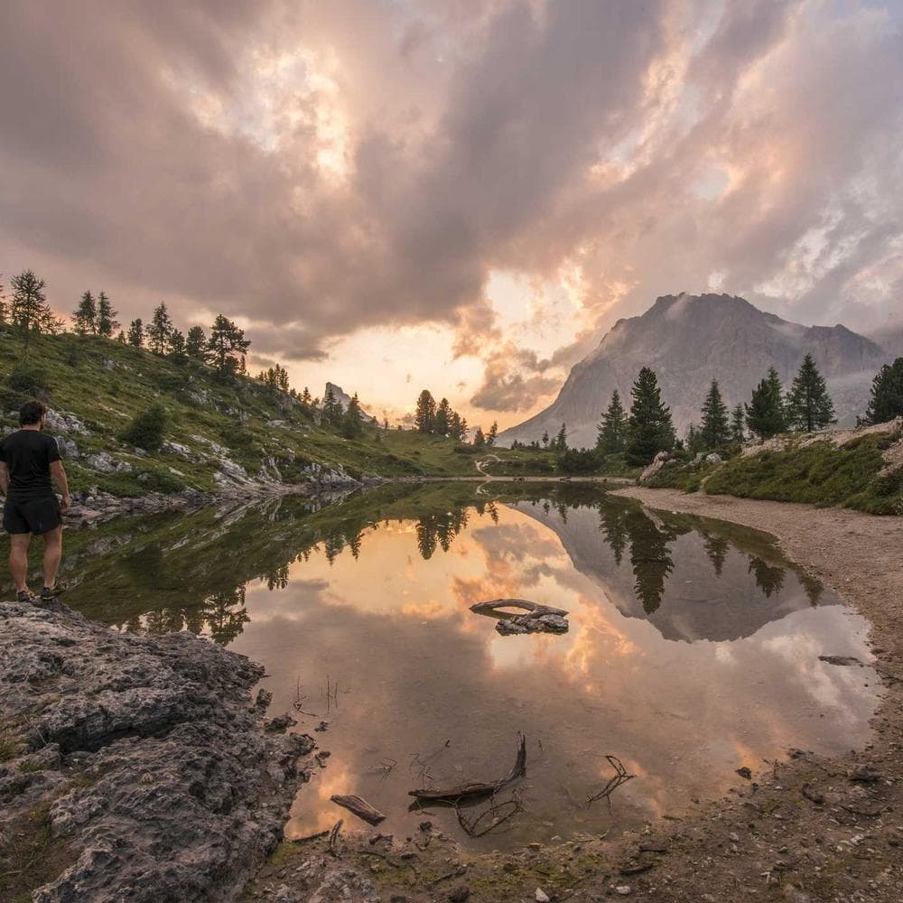 Bulk desiccant packs 50g (carton)